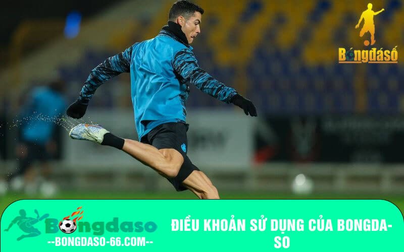 Điều khoản sử dụng của Bongdaso