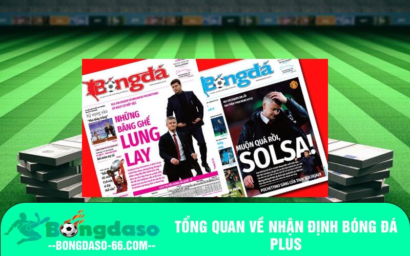 Tổng quan về nhận định bóng đá plus