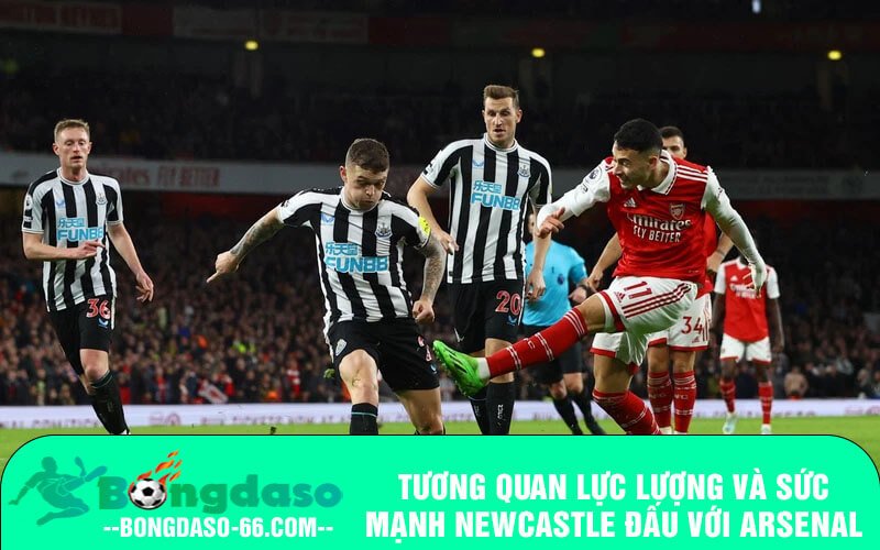 Tương quan lực lượng và sức mạnh Newcastle đấu với Arsenal