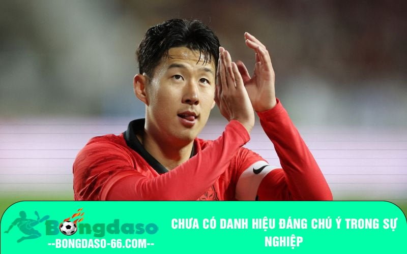 Chưa có danh hiệu đáng chú ý trong sự nghiệp