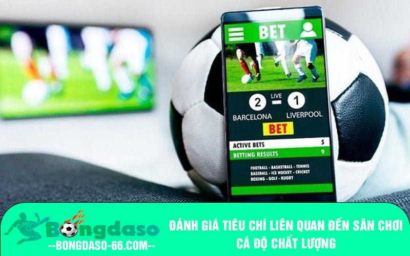 Đánh giá tiêu chí liên quan đến sân chơi cá độ chất lượng