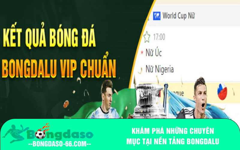 Khám phá những chuyên mục tại nền tảng bongdalu